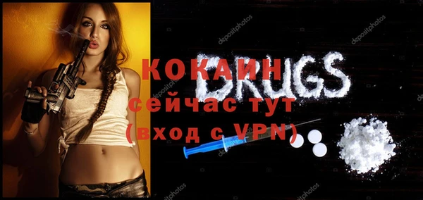 твердый Алексин