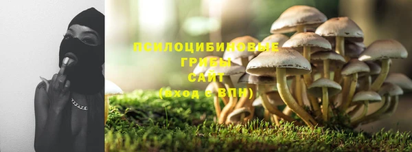 твердый Алексеевка