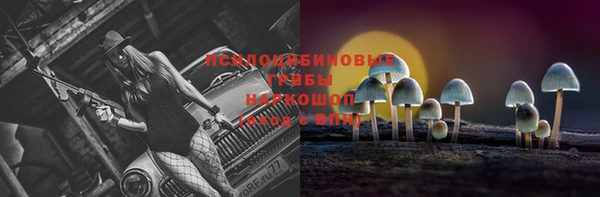 твердый Алексеевка