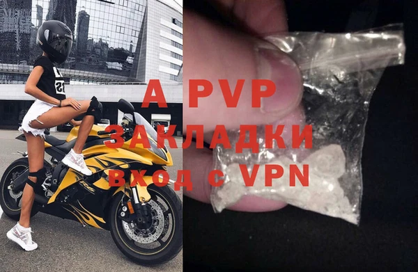 стафф Осташков